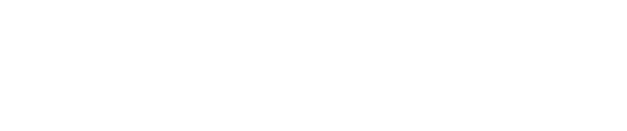 Ziver Holding